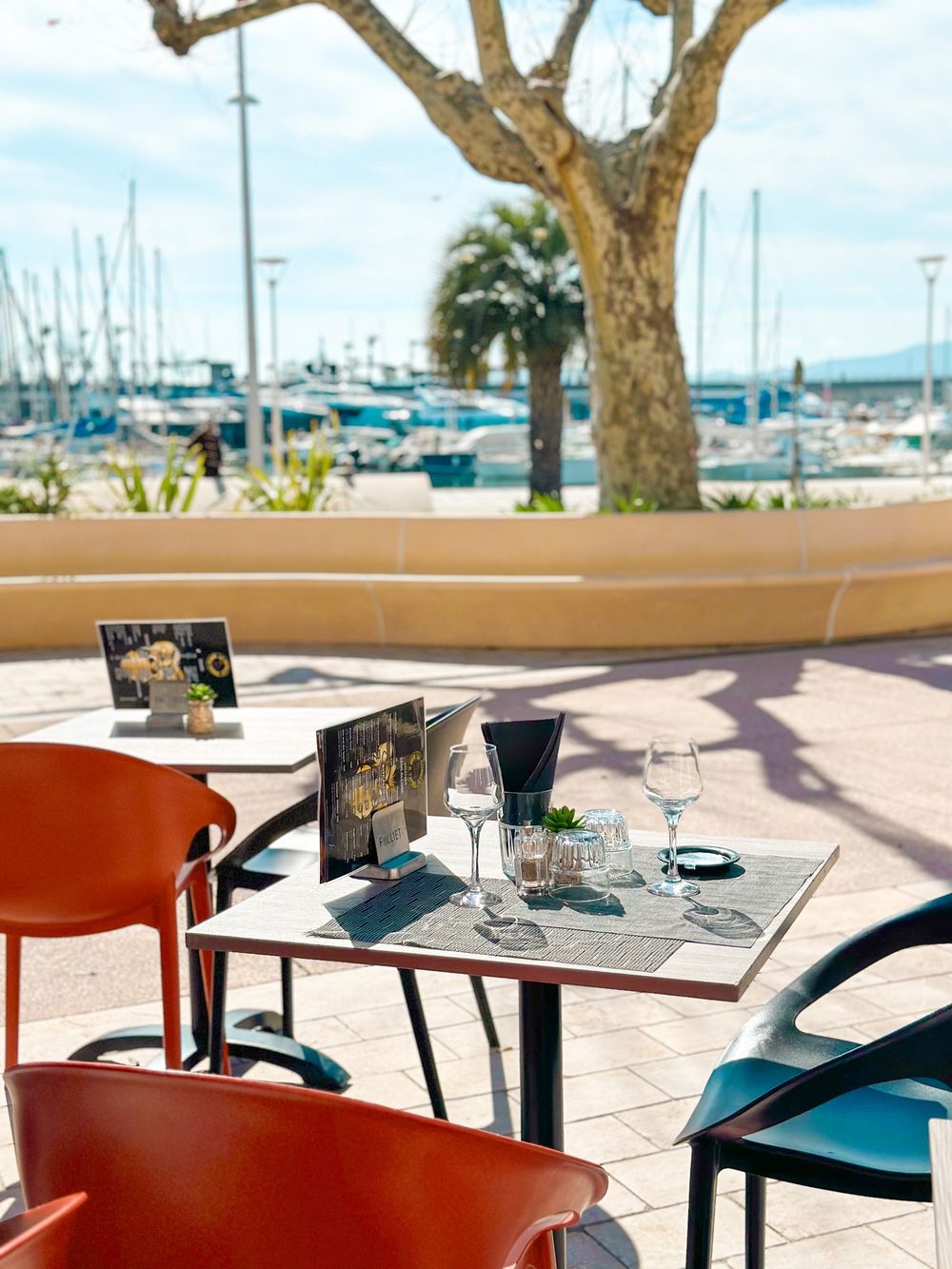 La terrasse des 2 Singes, avec ses fauteuils orange, face au port de plaisance et à un palmier